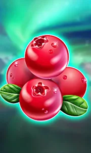 Winterberries