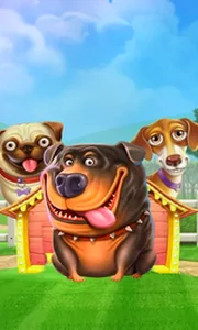 The Dog House
